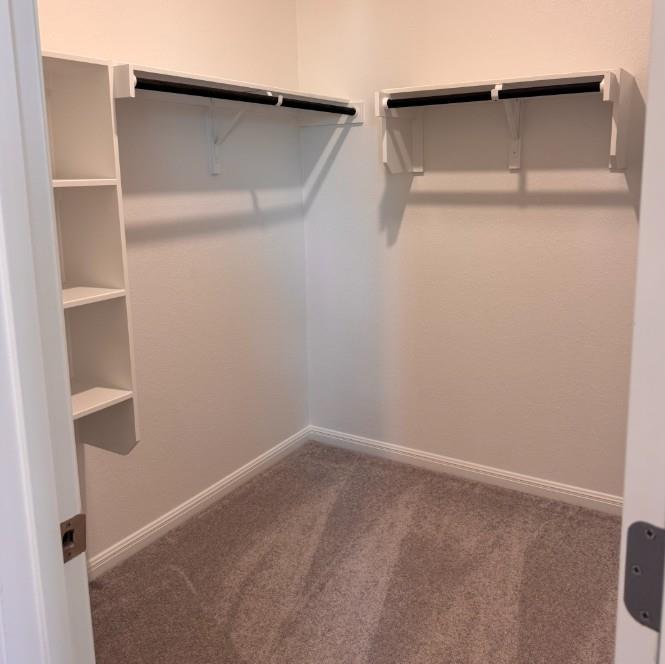 519 Unakite Trl Property Photo 15