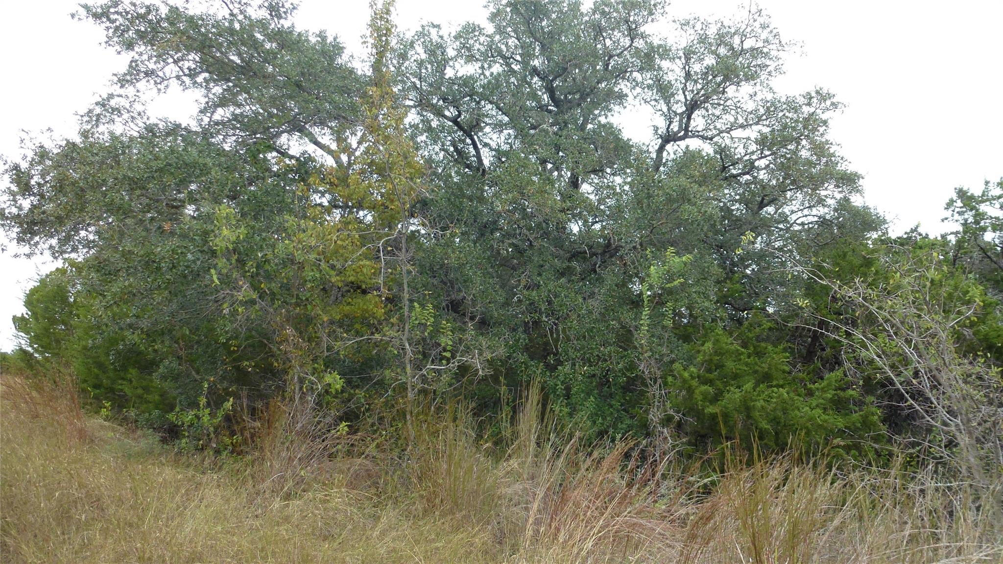 20815 Rawhide Trl Property Photo 1