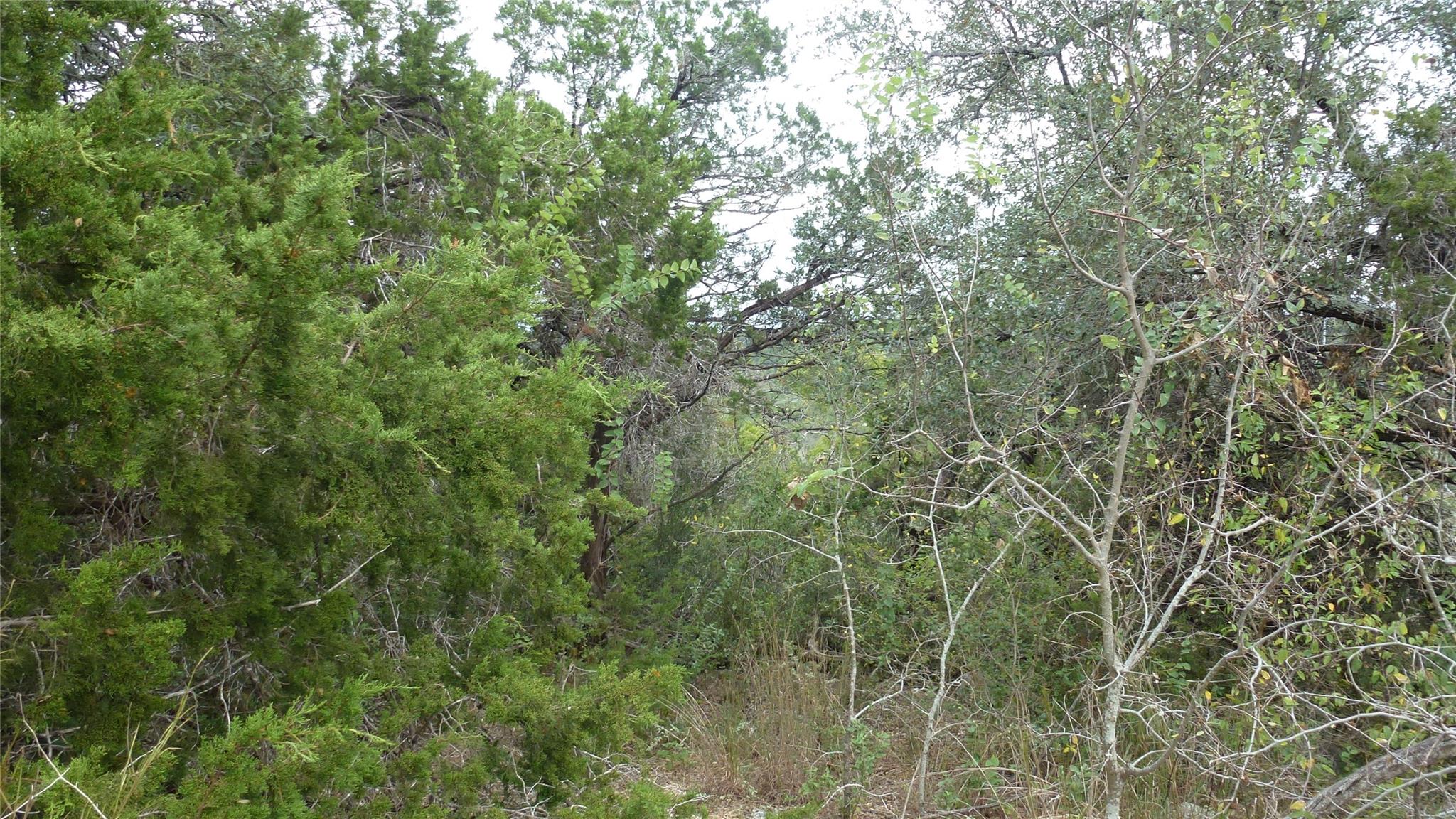 20815 Rawhide Trl Property Photo 4