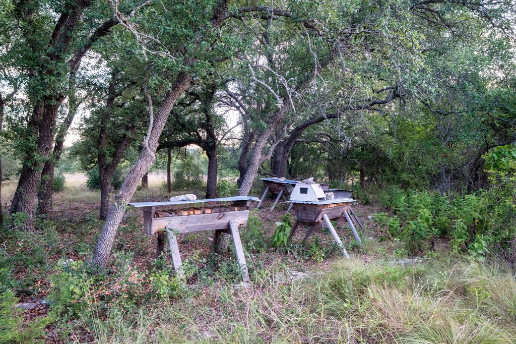 7275 Creek Rd Property Photo 16