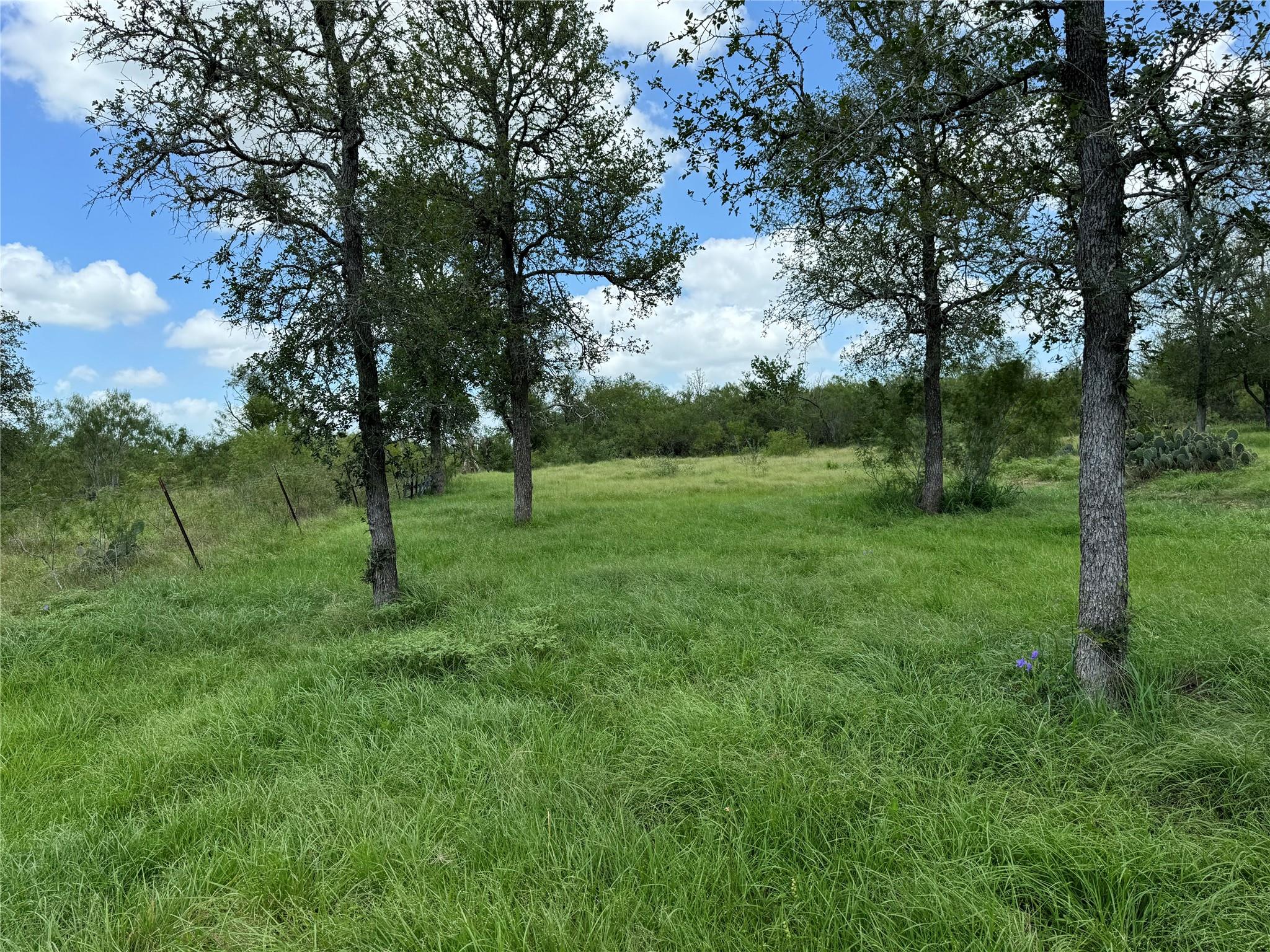Tbd Sneed Ln Property Photo 8