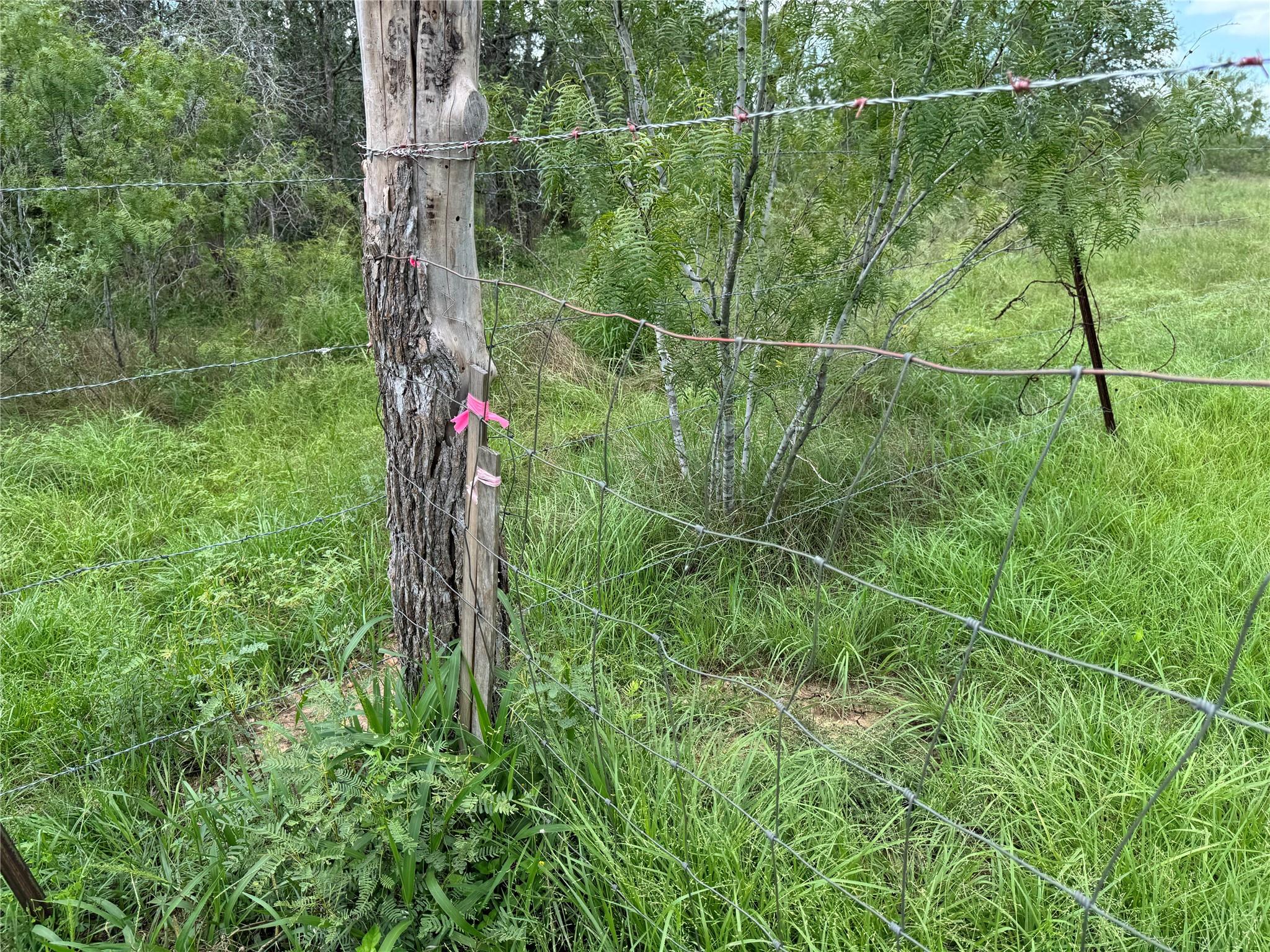Tbd Sneed Ln Property Photo 9
