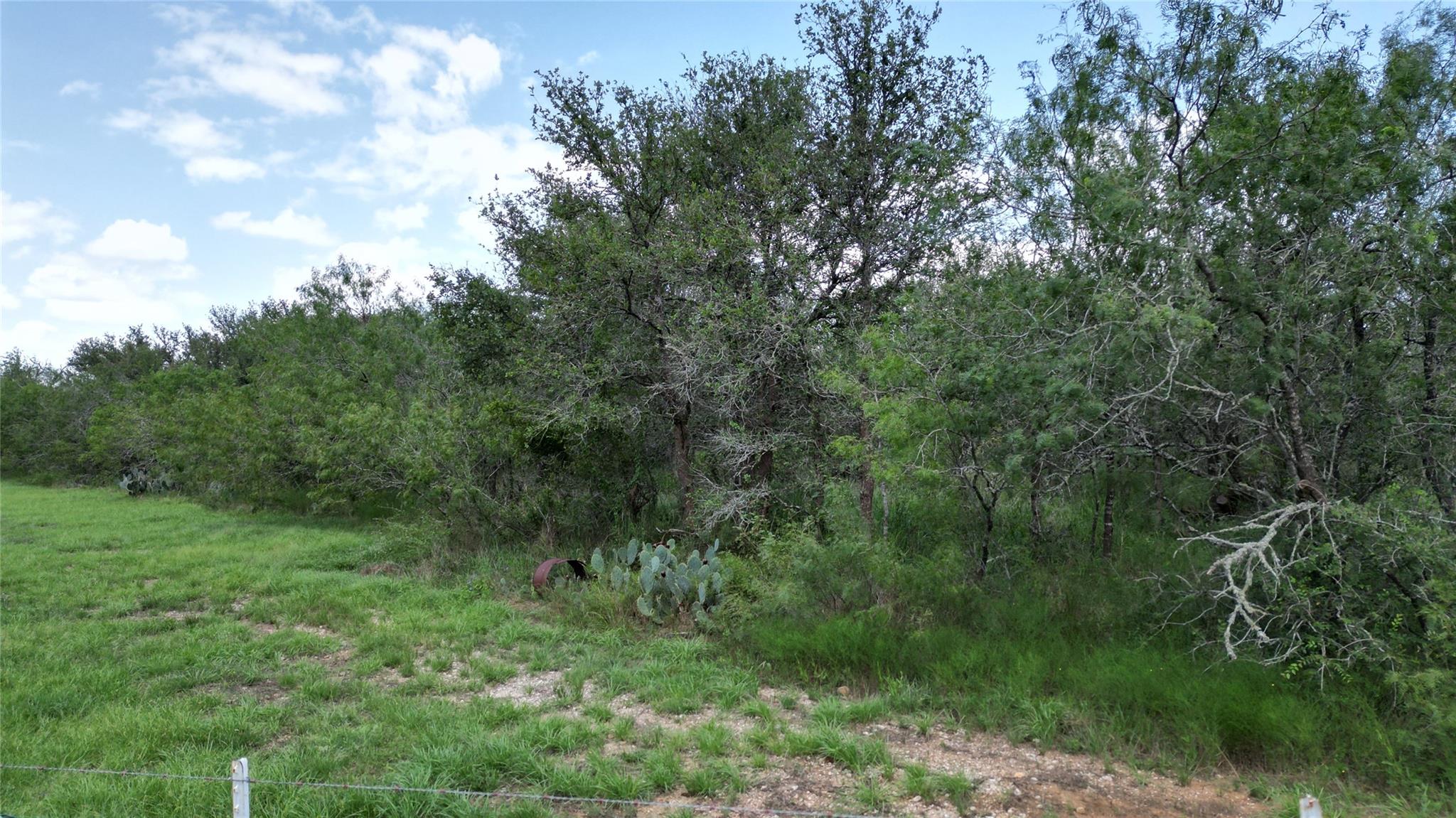 Tbd Sneed Ln Property Photo 10