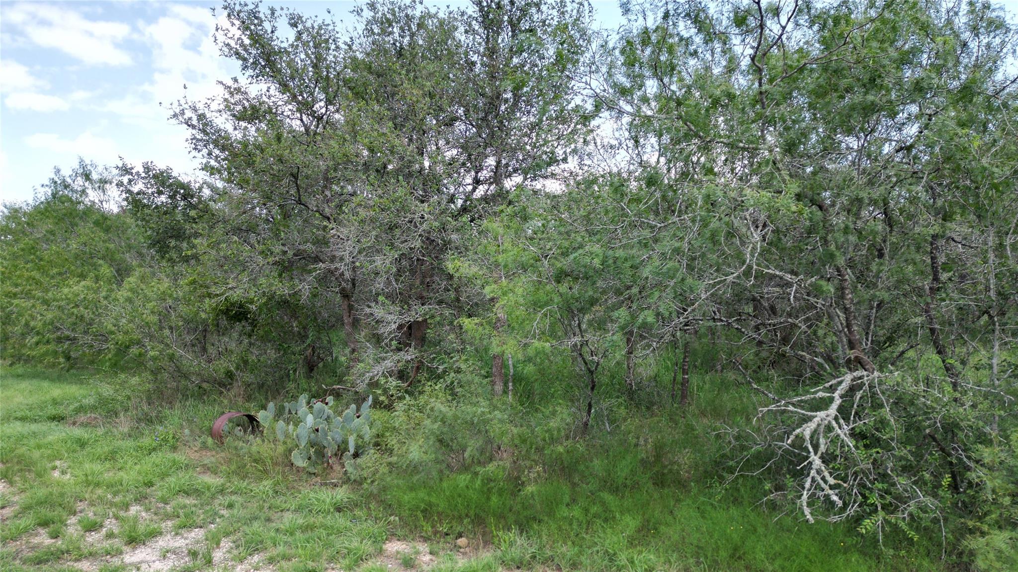 Tbd Sneed Ln Property Photo 11