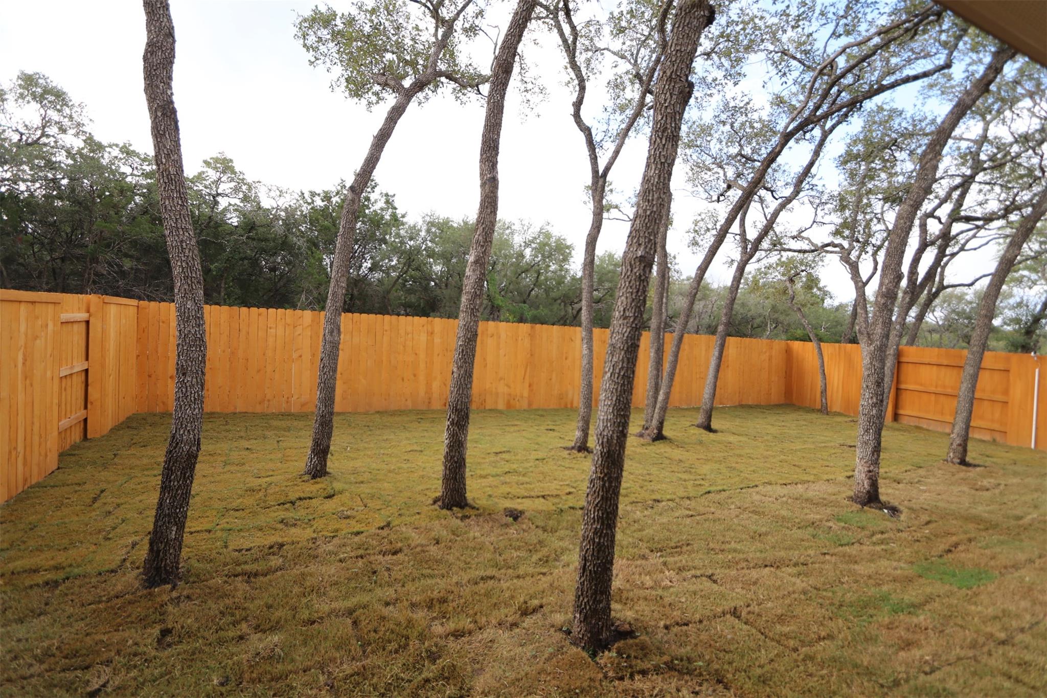 1316 Texas Ash Ln Property Photo 32