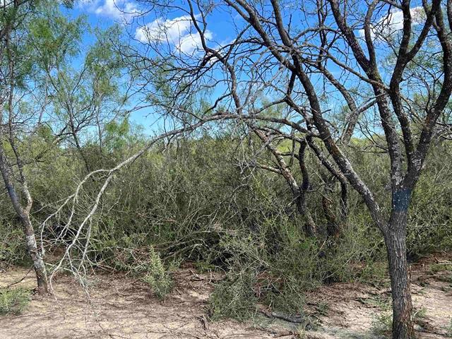 540 State Hwy. 16 Hwy Property Photo 2