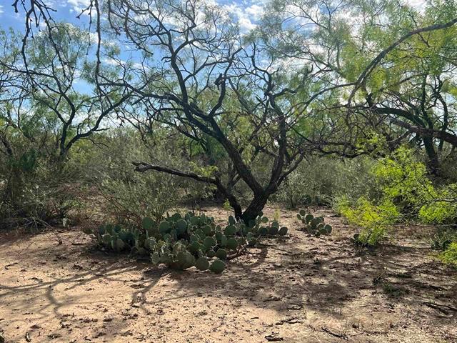 540 State Hwy. 16 Hwy Property Photo 4