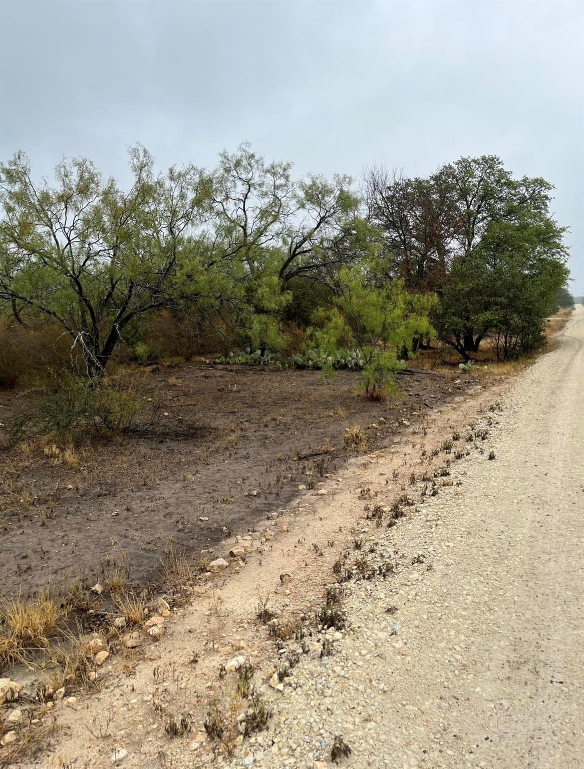 540 State Hwy. 16 Hwy Property Photo 10