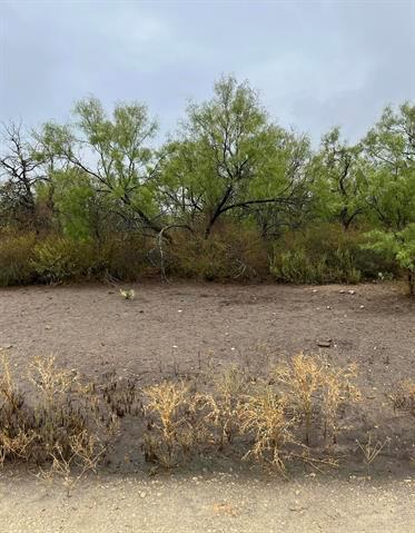 540 State Hwy. 16 Hwy Property Photo 11