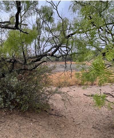 540 State Hwy. 16 Hwy Property Photo 12