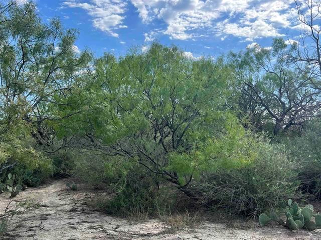 540 State Hwy. 16 Hwy Property Photo 13