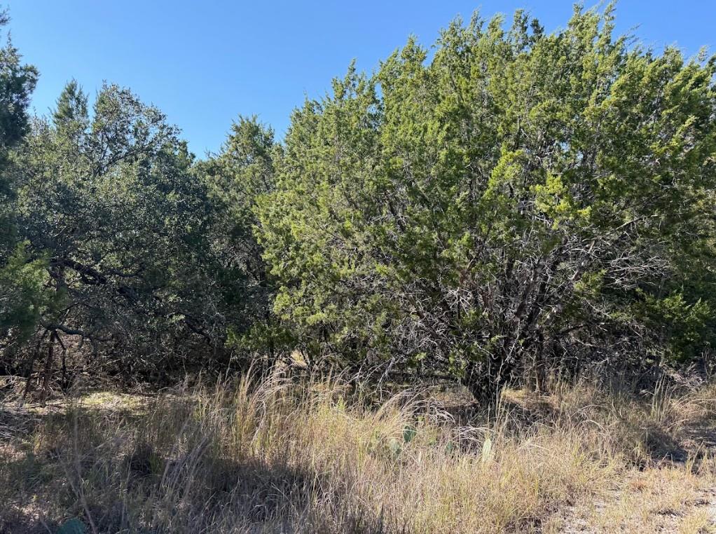 Lot K10037 Drew Drop None Property Photo 1