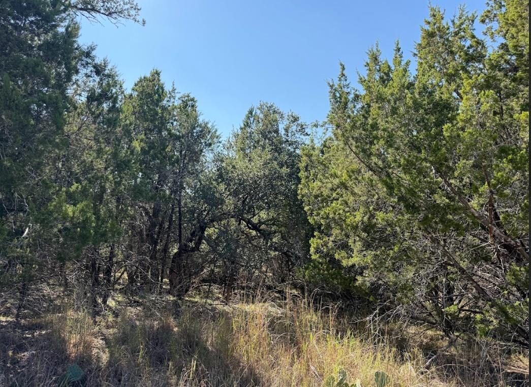 Lot K10037 Drew Drop None Property Photo 3