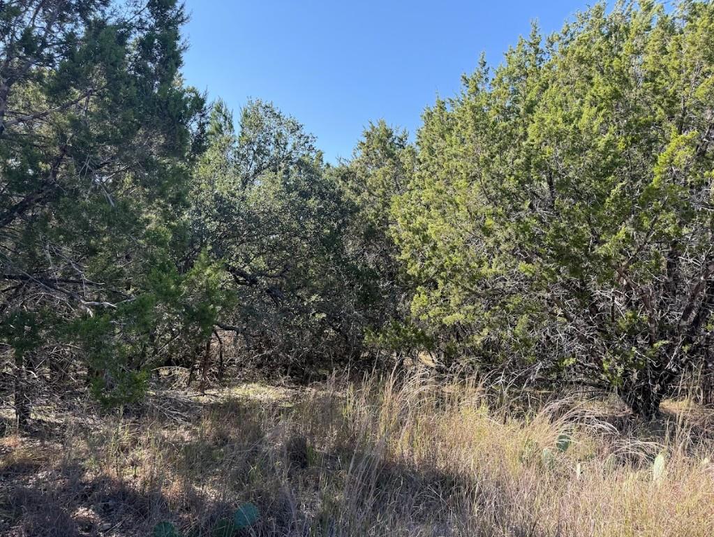 Lot K10037 Drew Drop None Property Photo 9