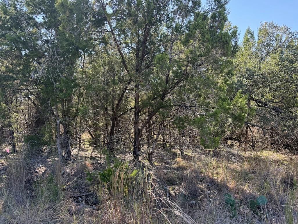 Lot K10037 Drew Drop None Property Photo 10