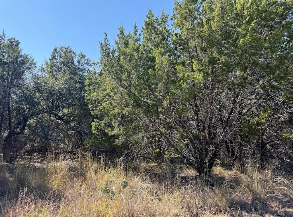 Lot K10037 Drew Drop None Property Photo 15