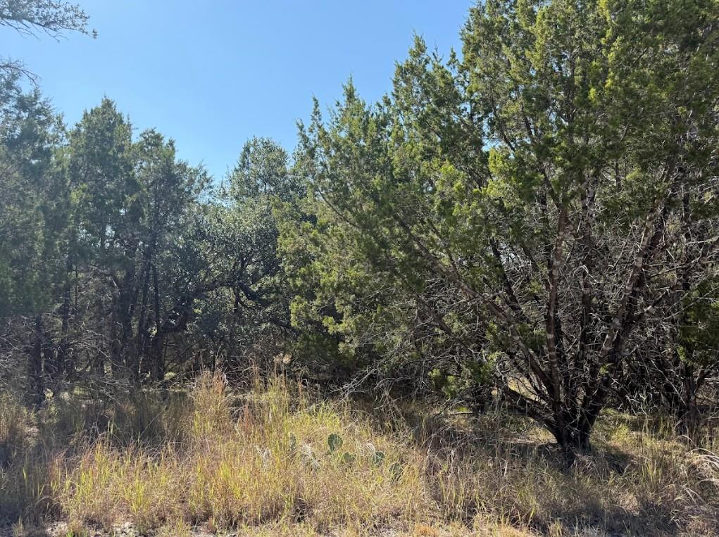 Lot K10037 Drew Drop None Property Photo 18