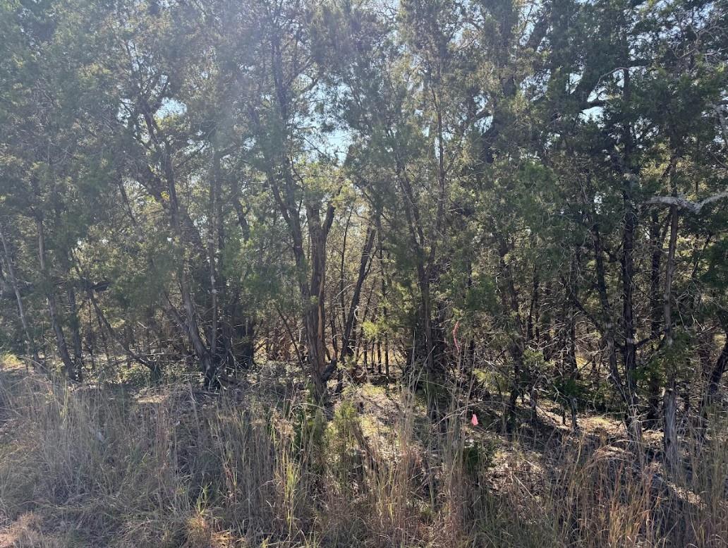 Lot K10037 Drew Drop None Property Photo 23
