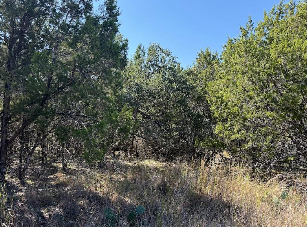 Lot K10037 Drew Drop None Property Photo 29