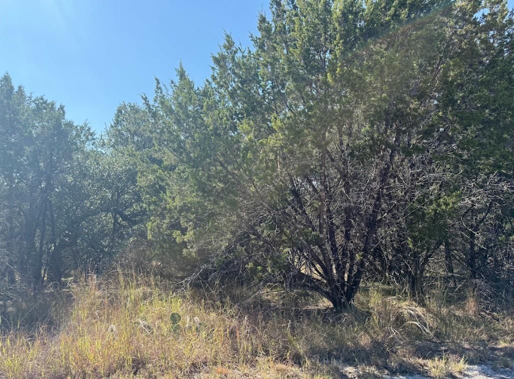 Lot K10037 Drew Drop None Property Photo 31