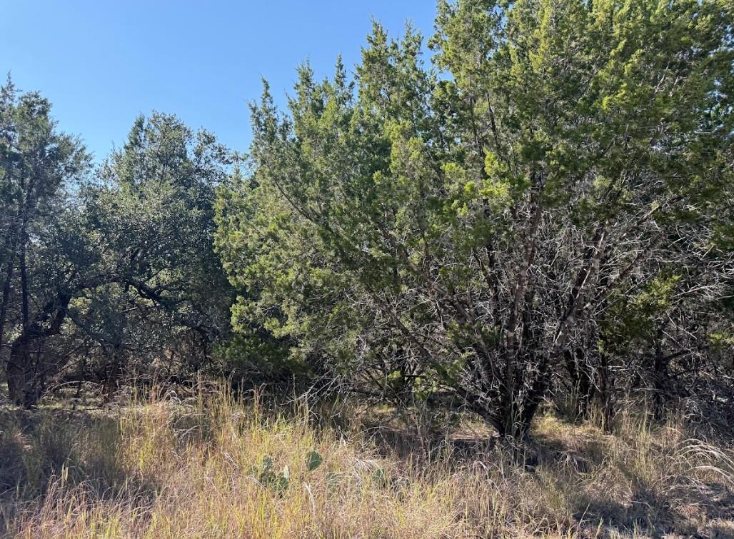 Lot K10037 Drew Drop None Property Photo 32