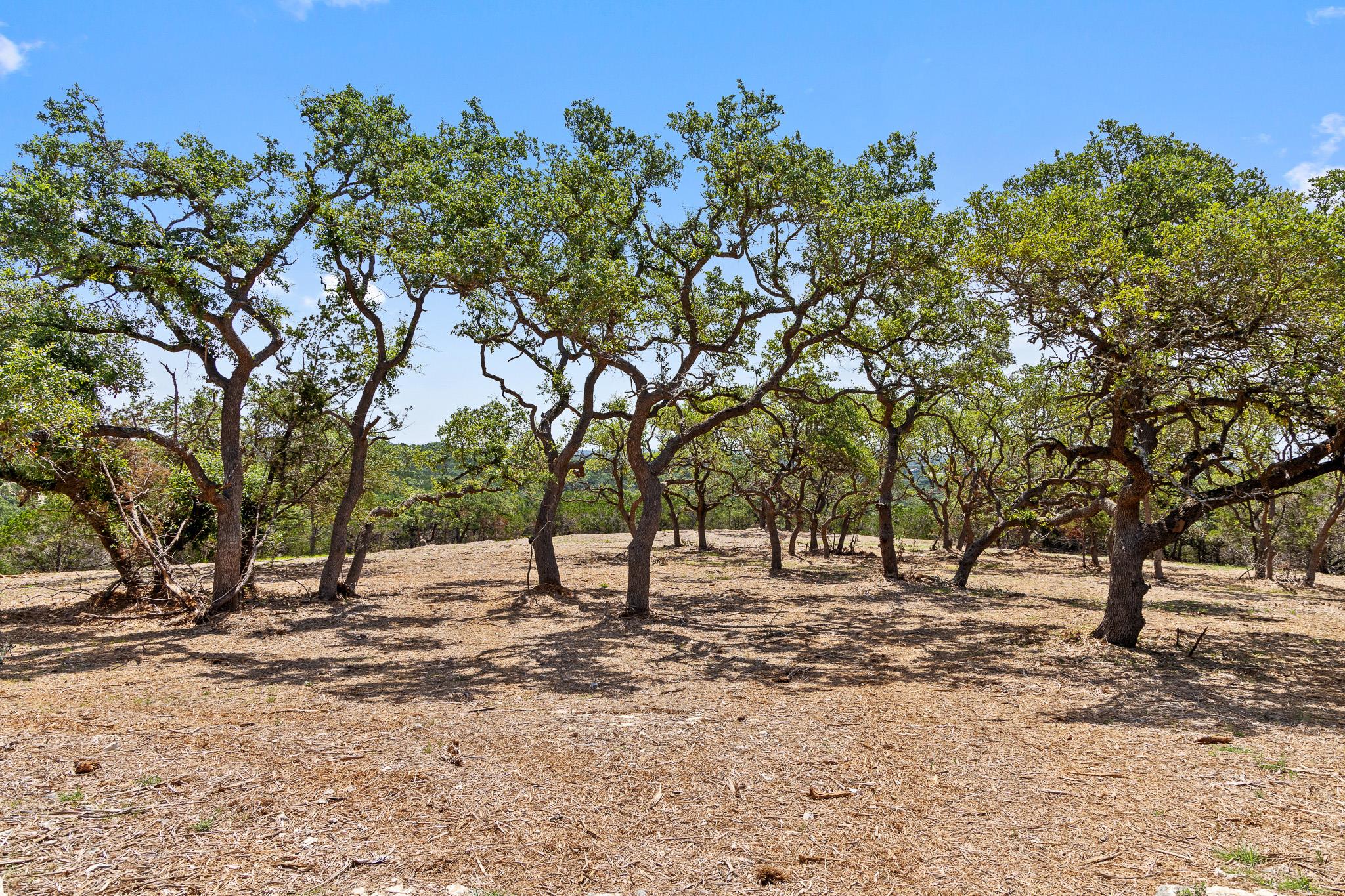 9475 Fm 32 Property Photo 15