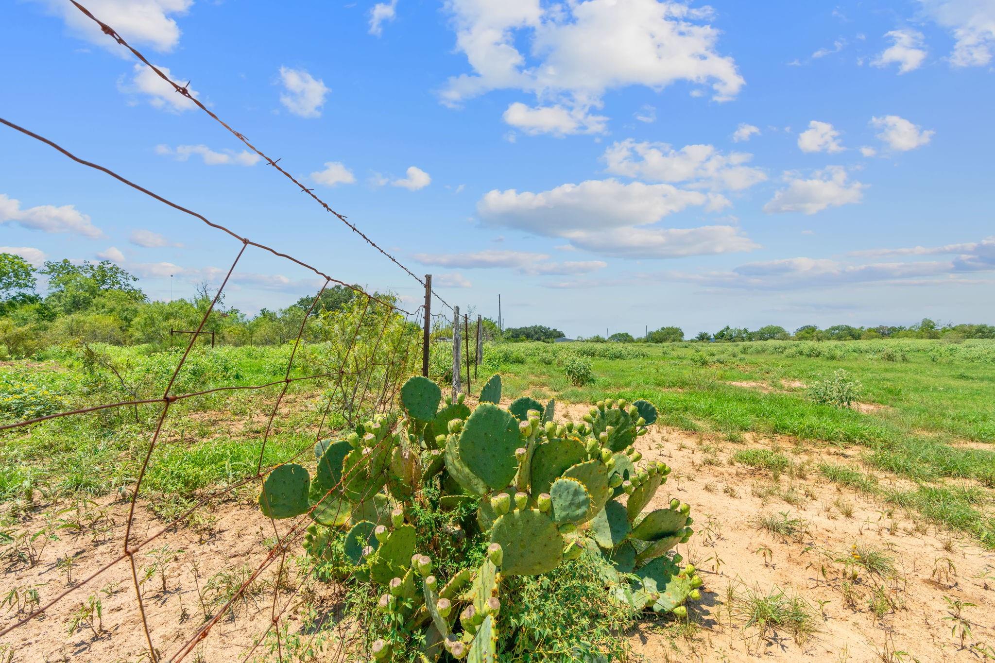 Lot 8 County Road 280 Property Photo 2
