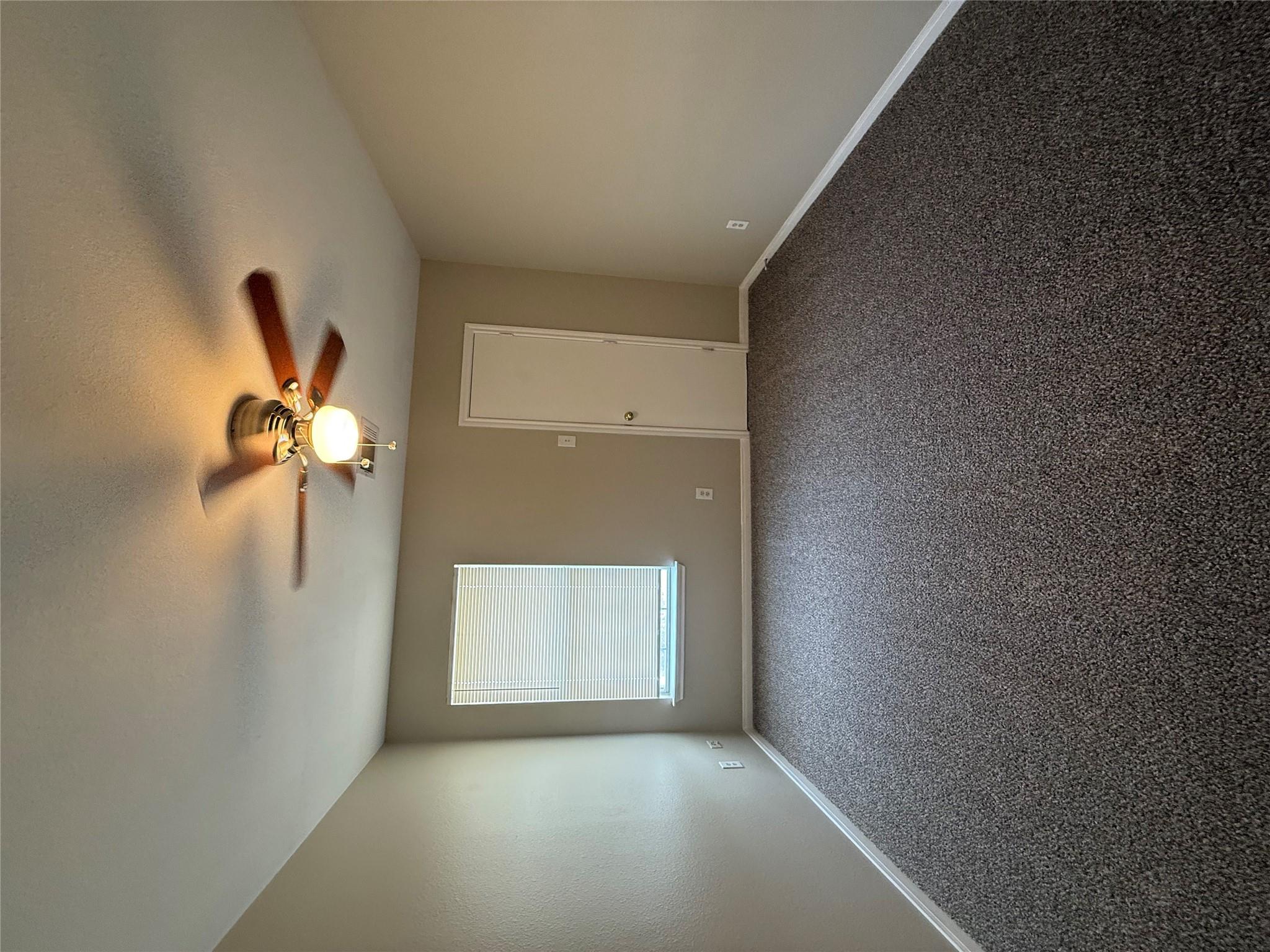 203 Marvin Cv Property Photo 17