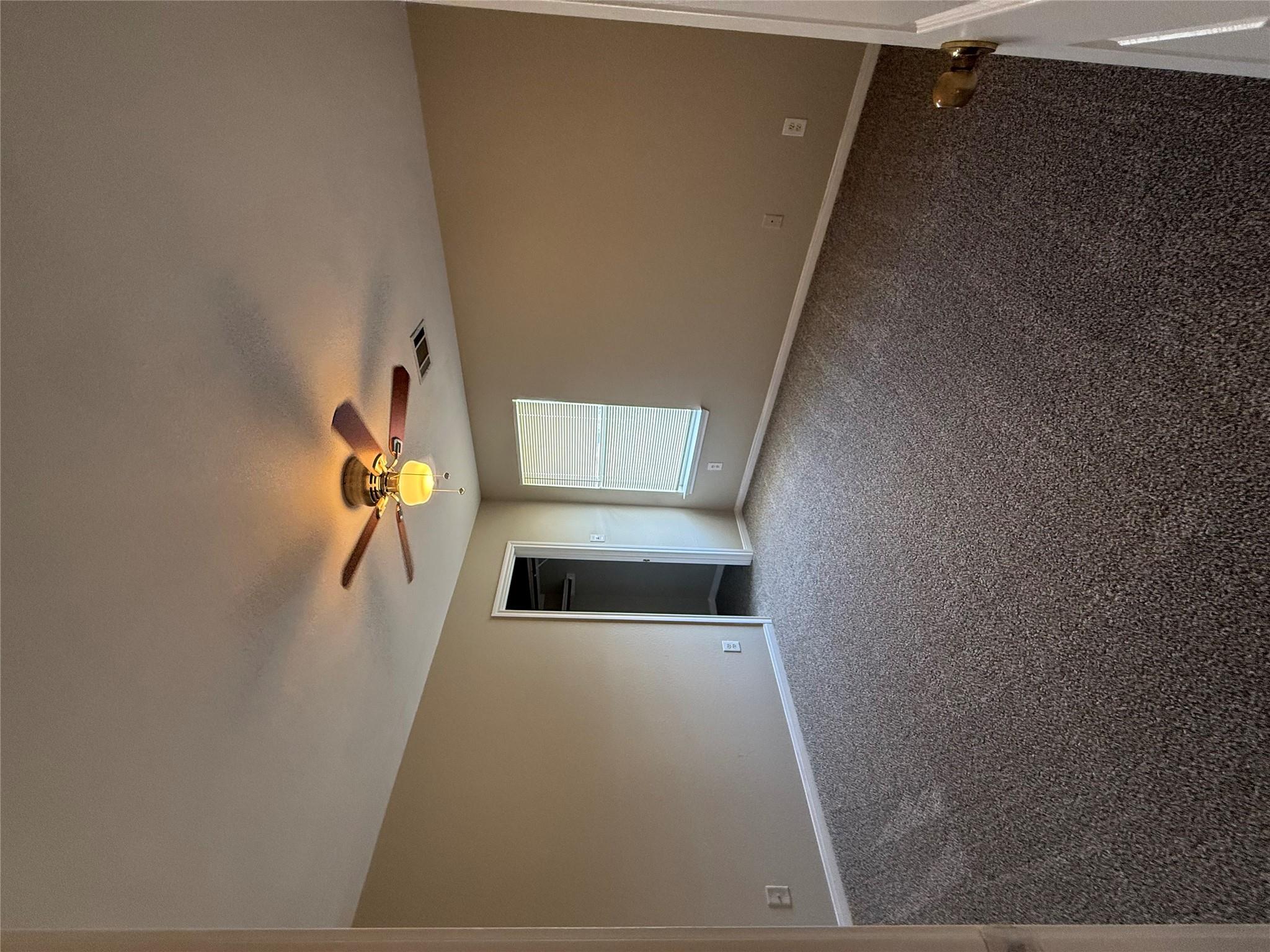 203 Marvin Cv Property Photo 20