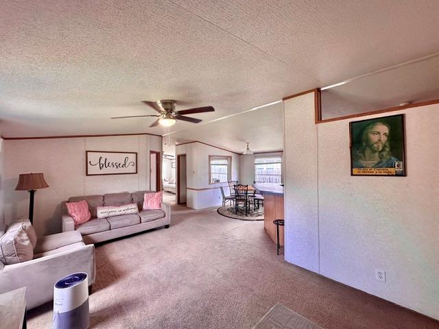 106 Ramirez St Property Photo 6