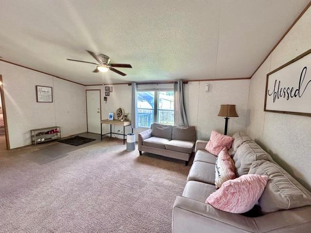 106 Ramirez St Property Photo 7