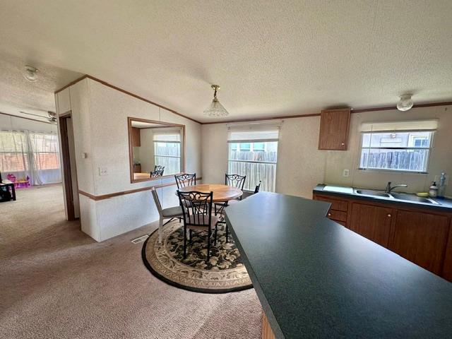 106 Ramirez St Property Photo 8
