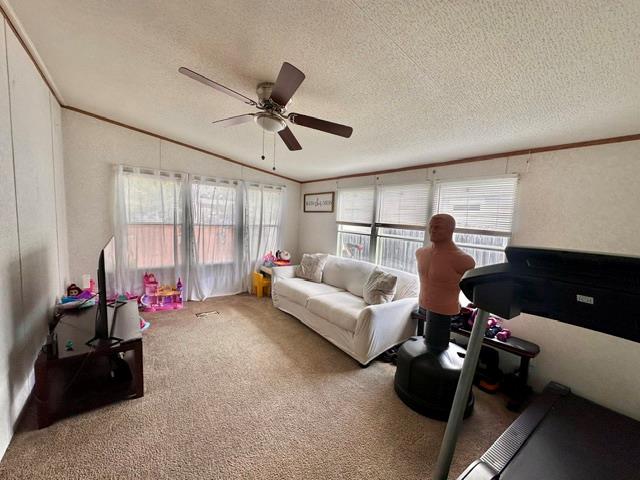 106 Ramirez St Property Photo 15