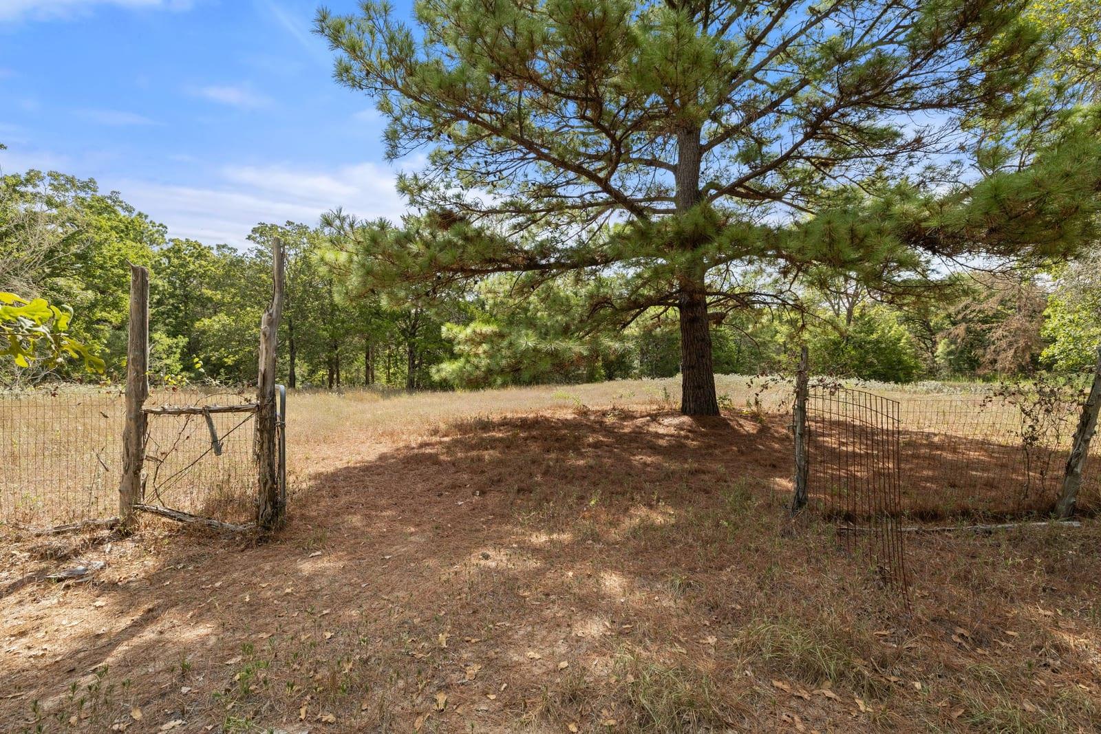 242 Cody Ln Property Photo 22