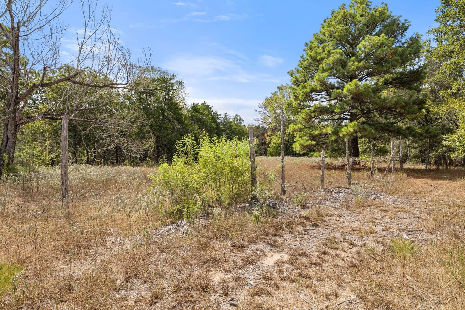 242 Cody Ln Property Photo 28