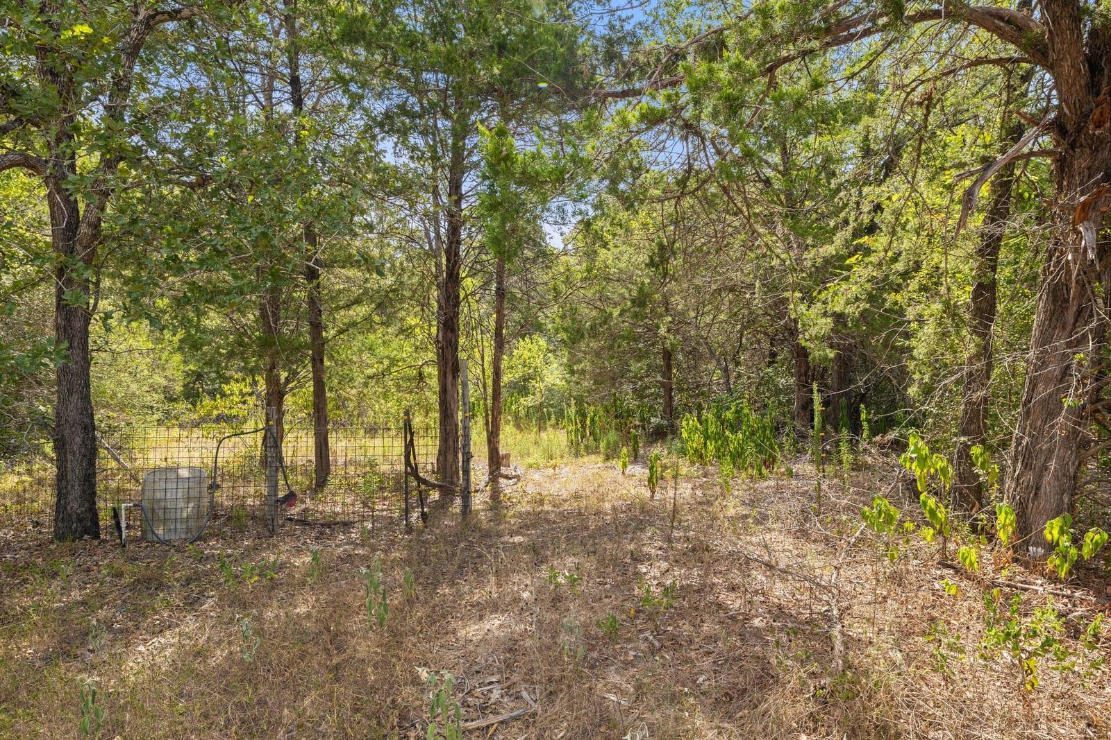 242 Cody Ln Property Photo 29