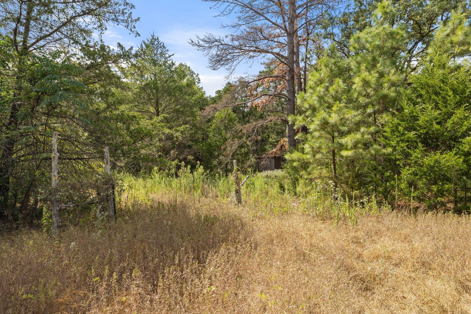 242 Cody Ln Property Photo 31