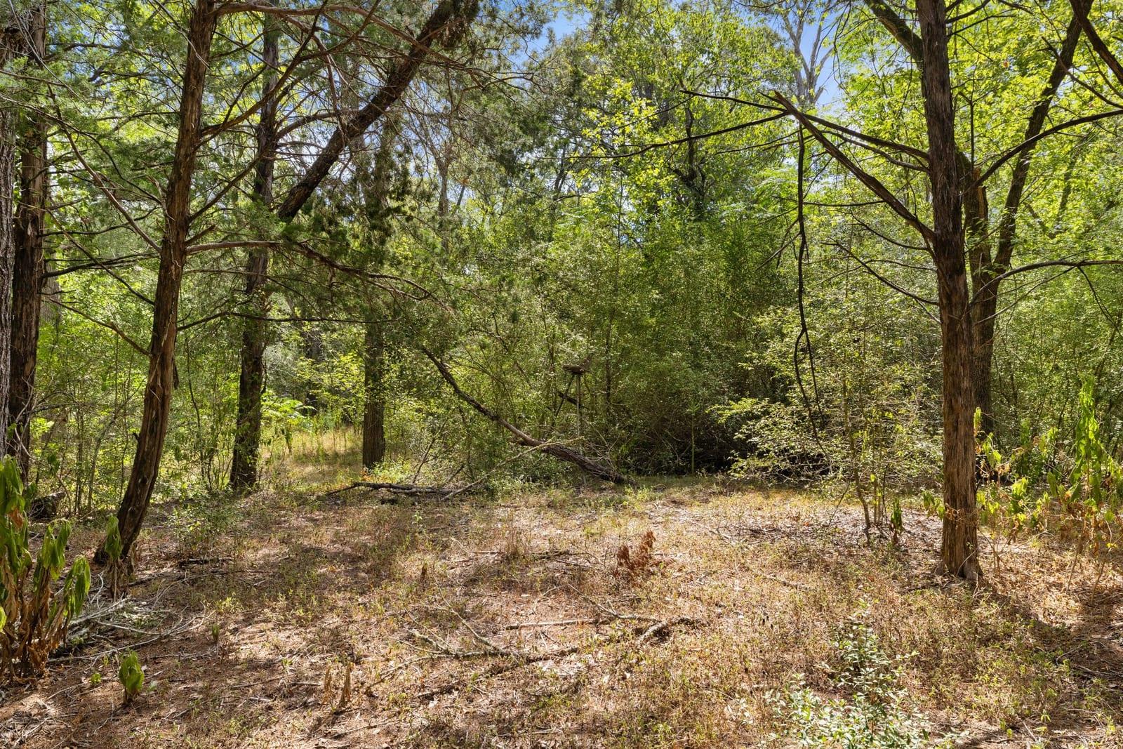 242 Cody Ln Property Photo 32