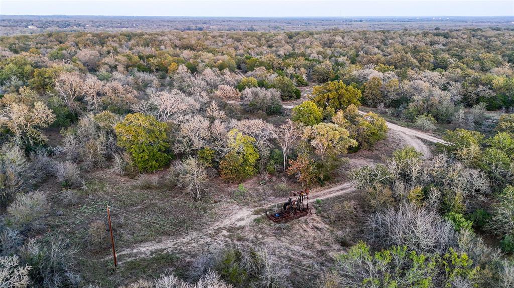 137 Shady Oaks Loop Property Photo 10