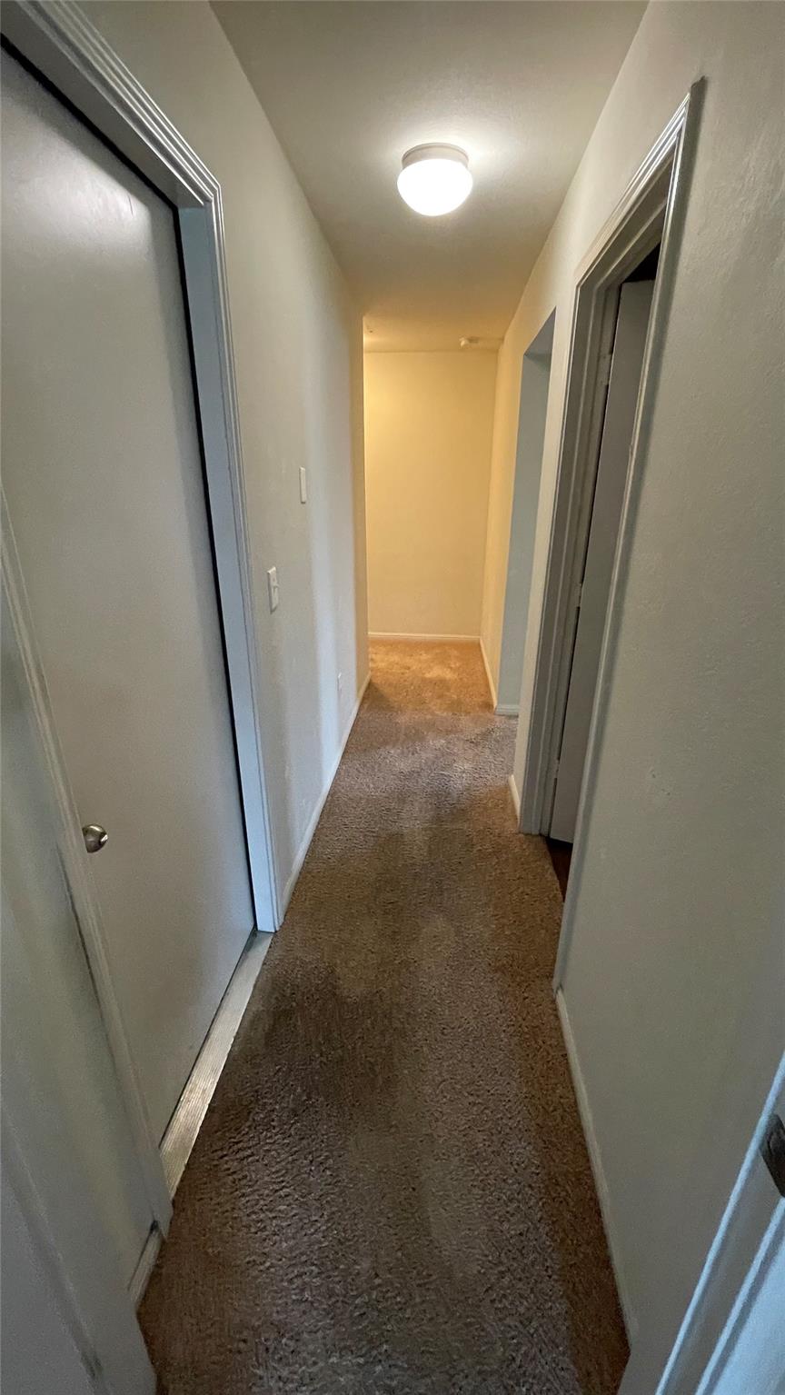307 Camellia Dr Property Photo 15
