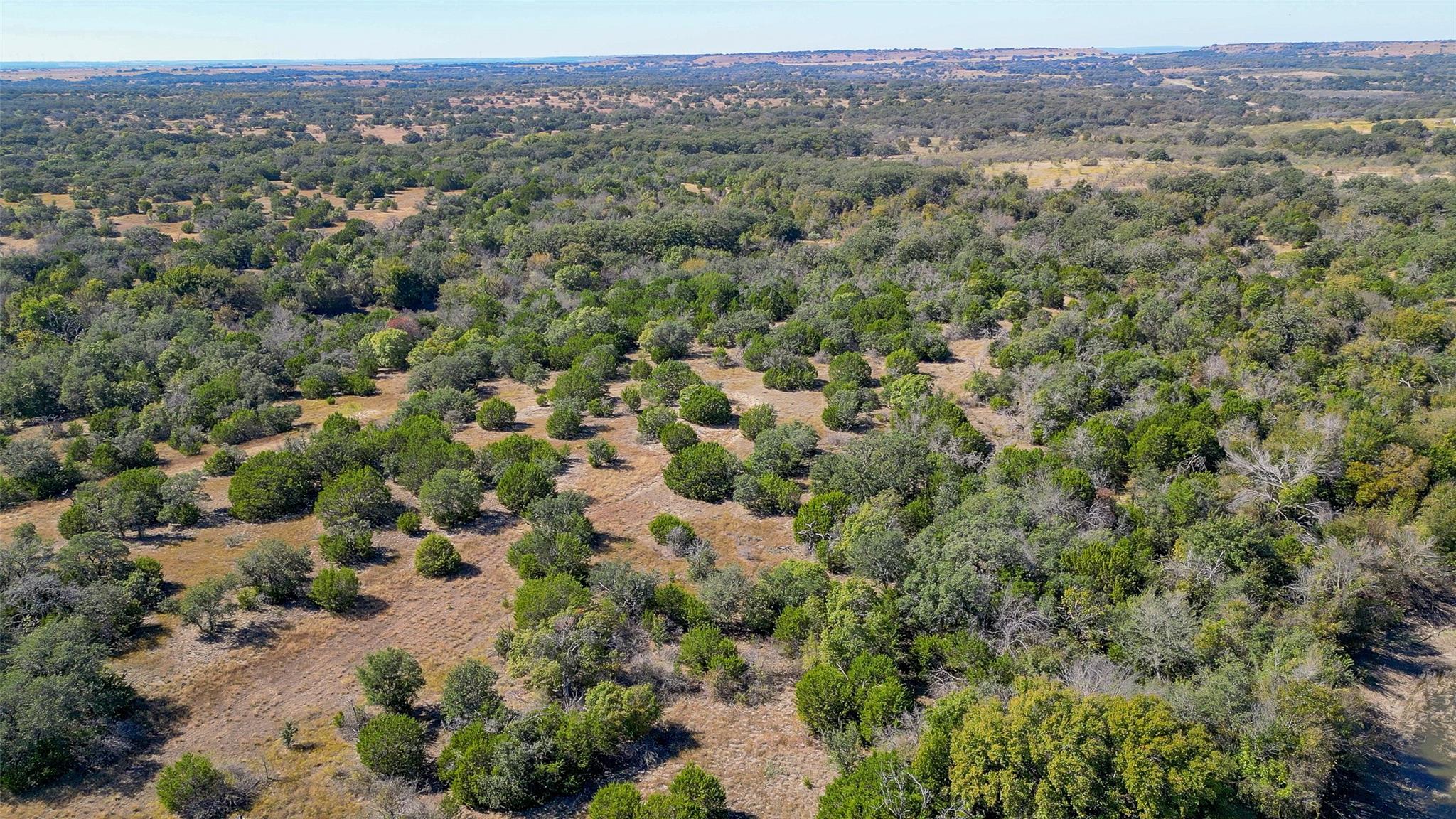 Tbd Fm 2561 None Property Photo 17