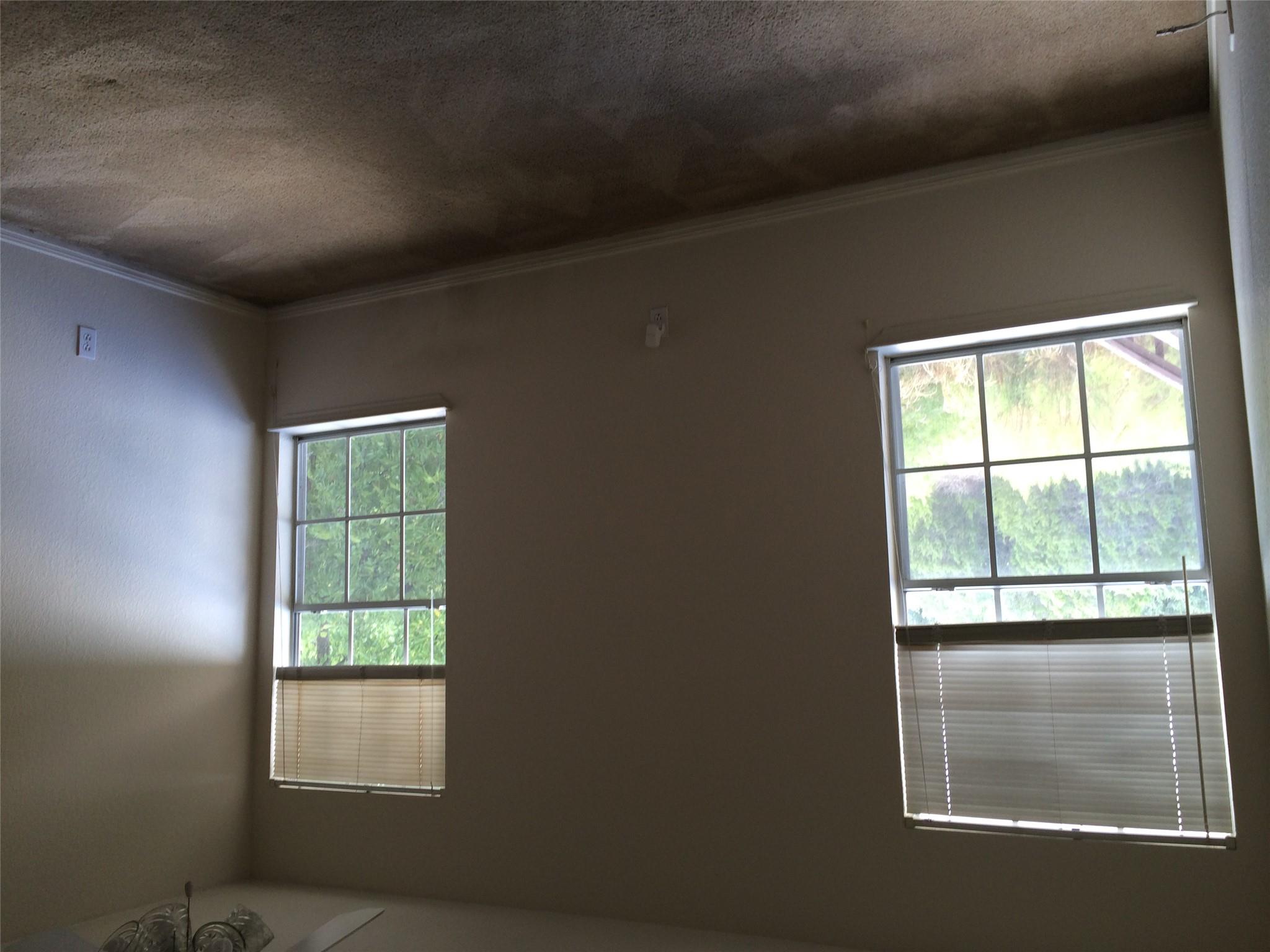 3003-c Whisper Oaks Ln #c Property Photo 14