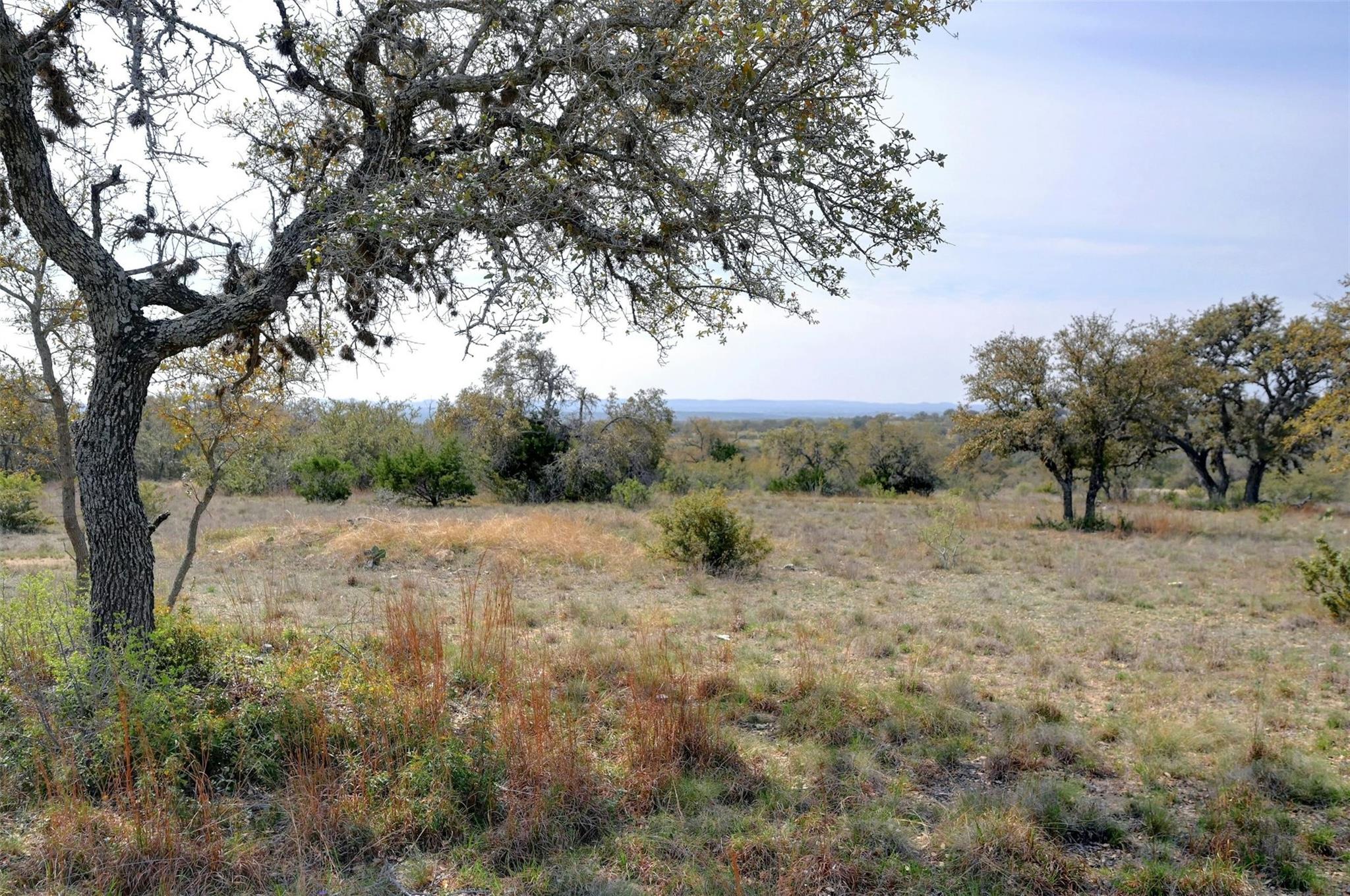 91 Summit Ridge Trl Property Photo