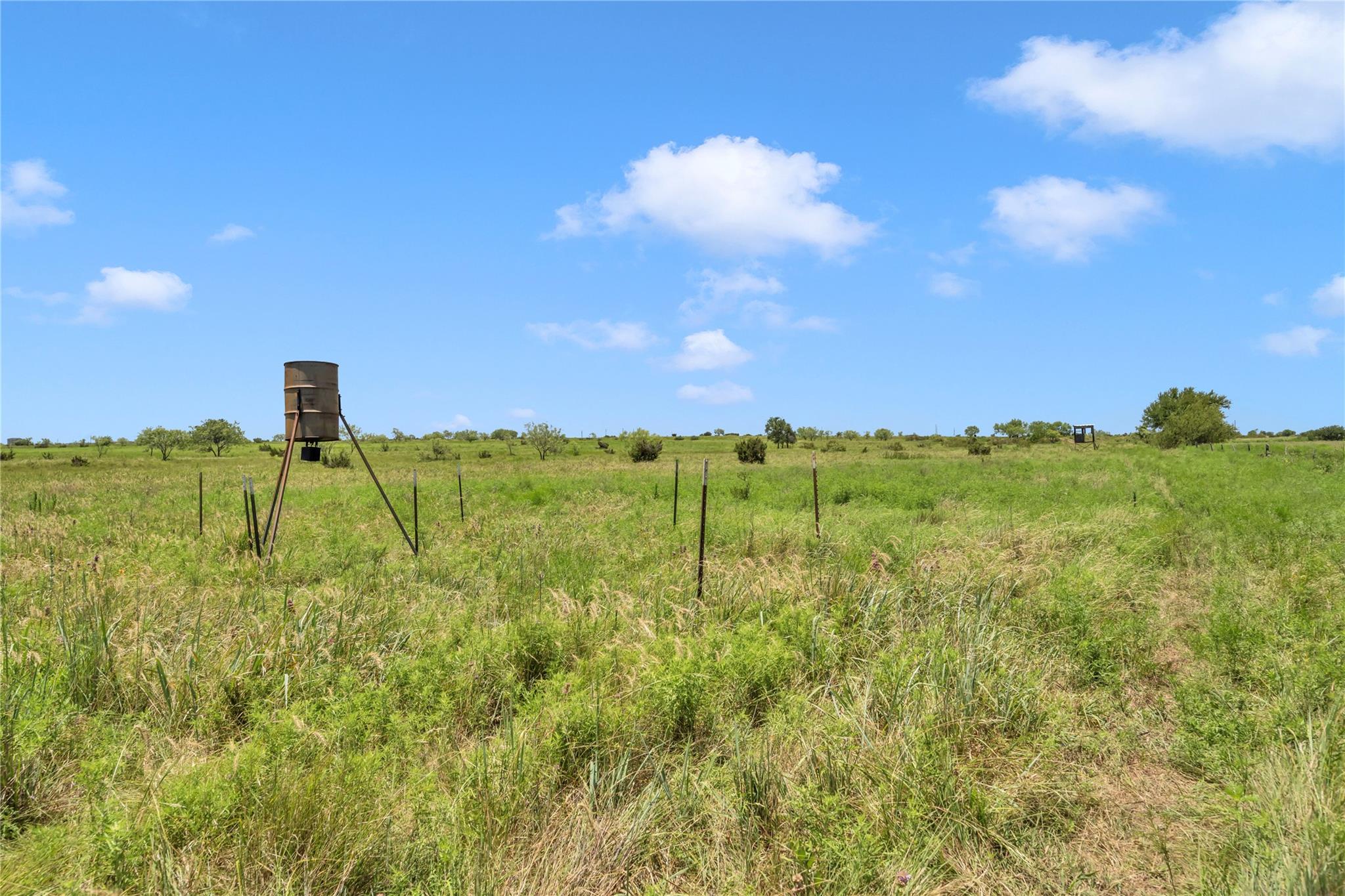 11064 County Road 210 Rd Property Photo 11