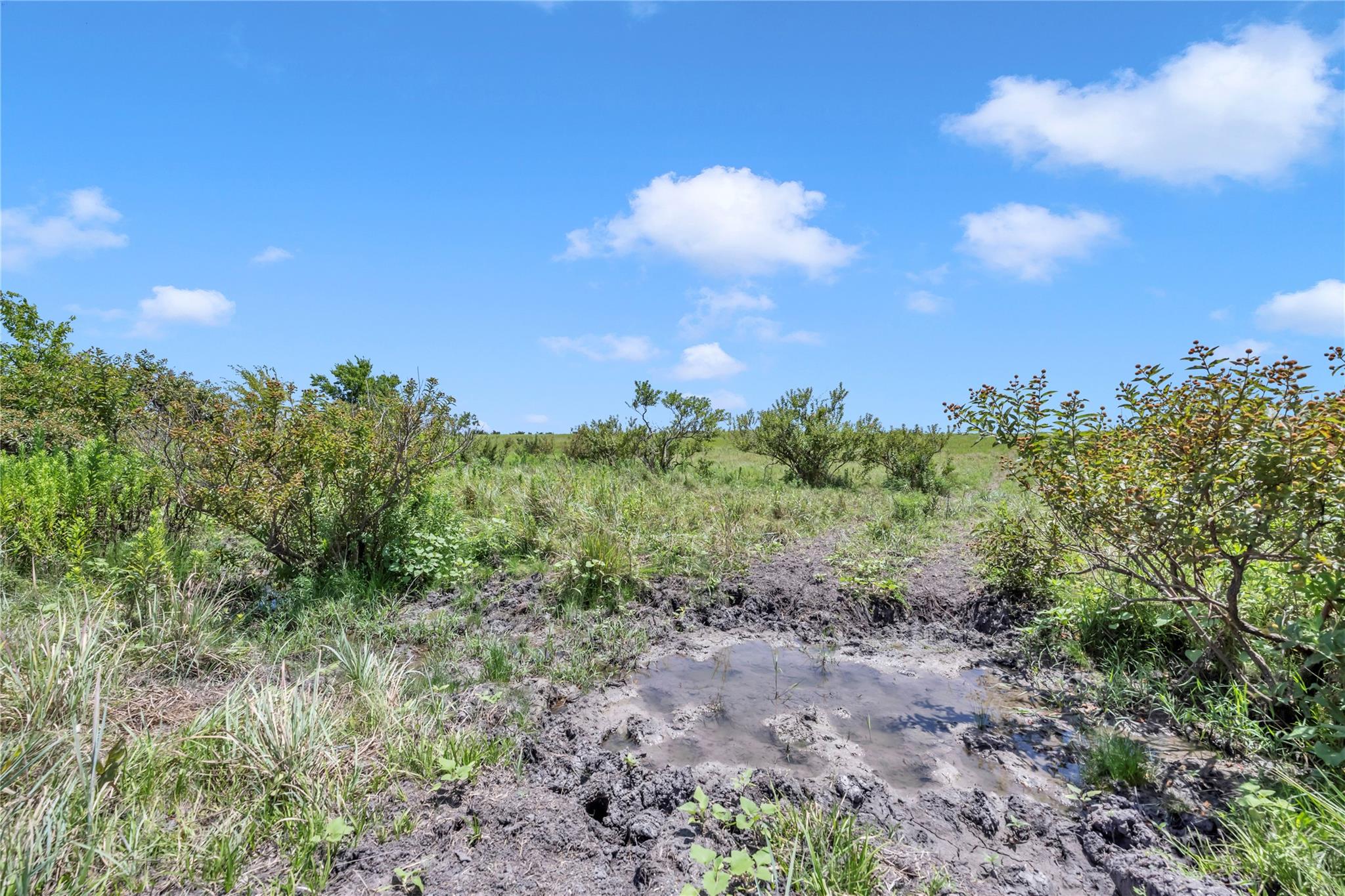 11064 County Road 210 Rd Property Photo 15