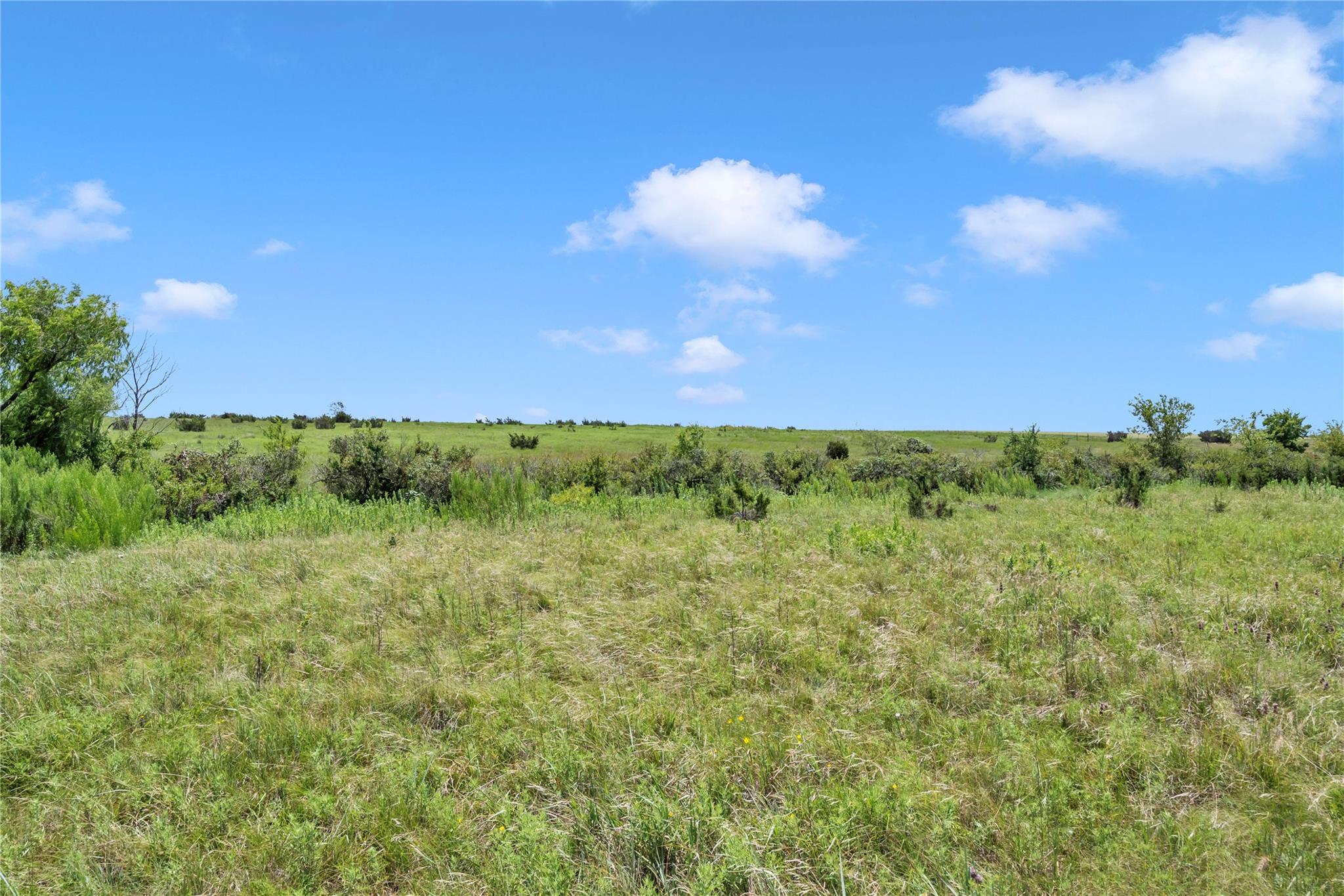 11064 County Road 210 Rd Property Photo 16