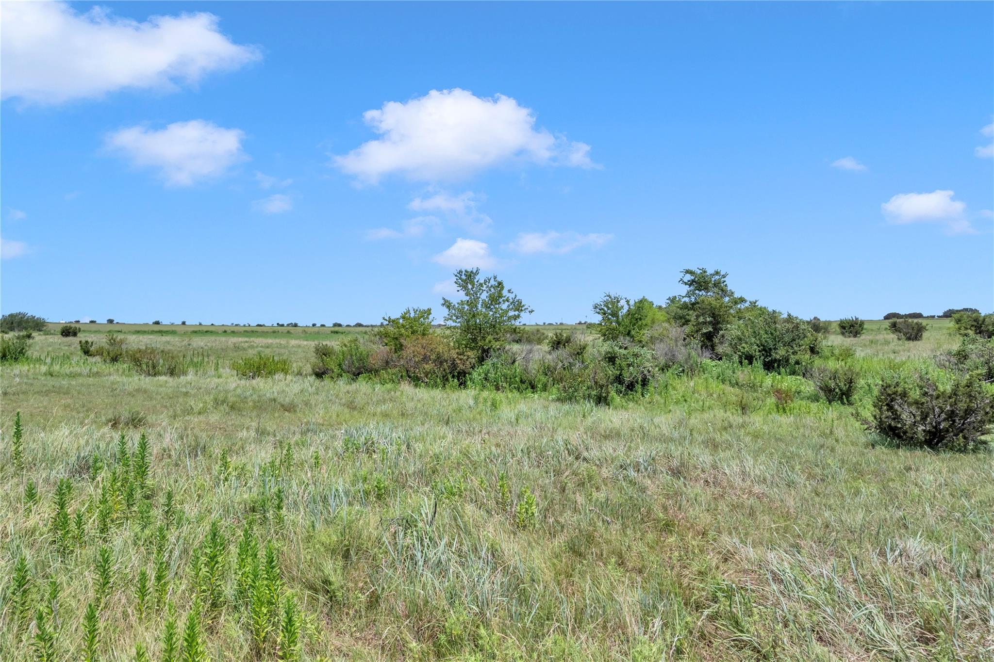 11064 County Road 210 Rd Property Photo 17