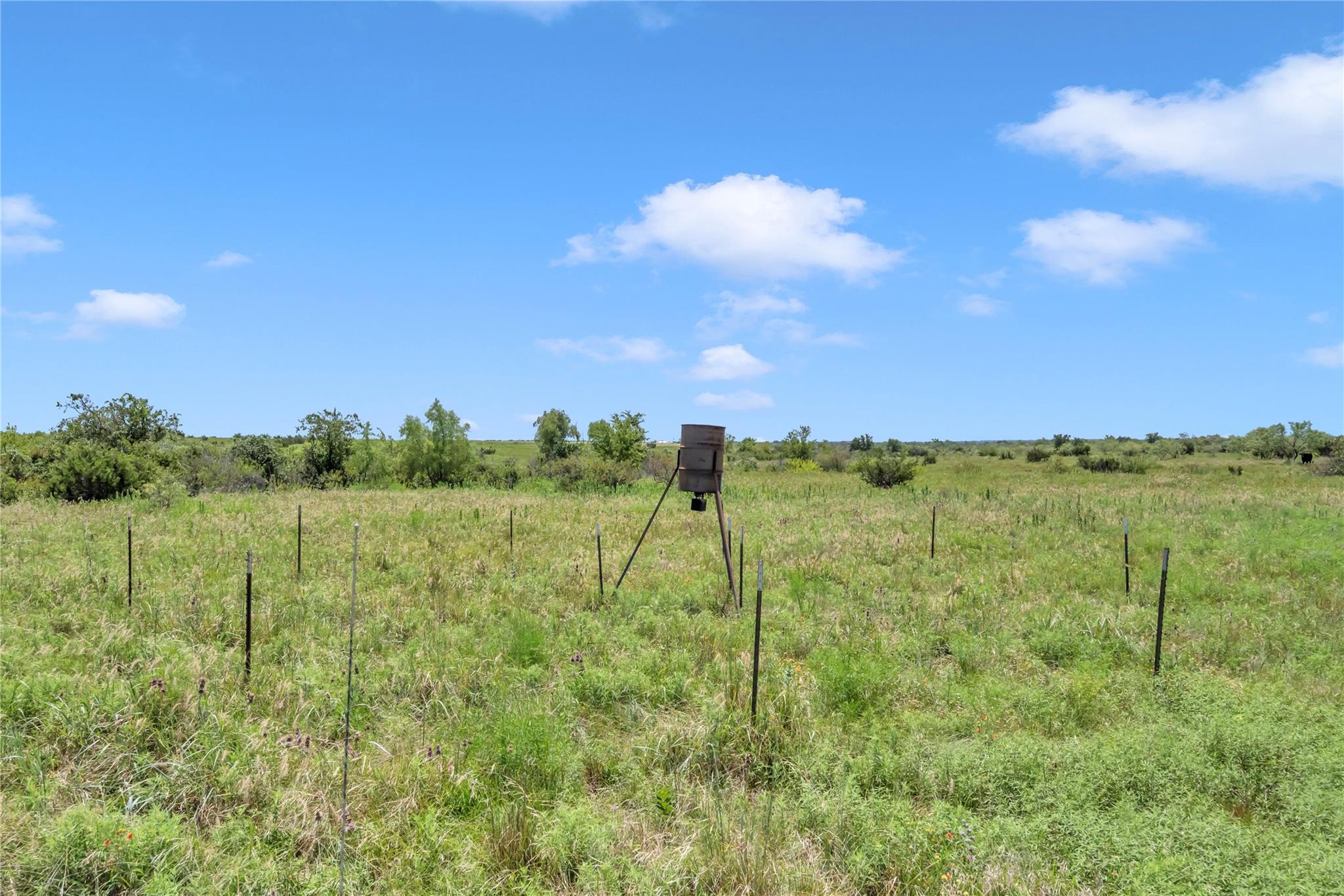 11064 County Road 210 Rd Property Photo 20