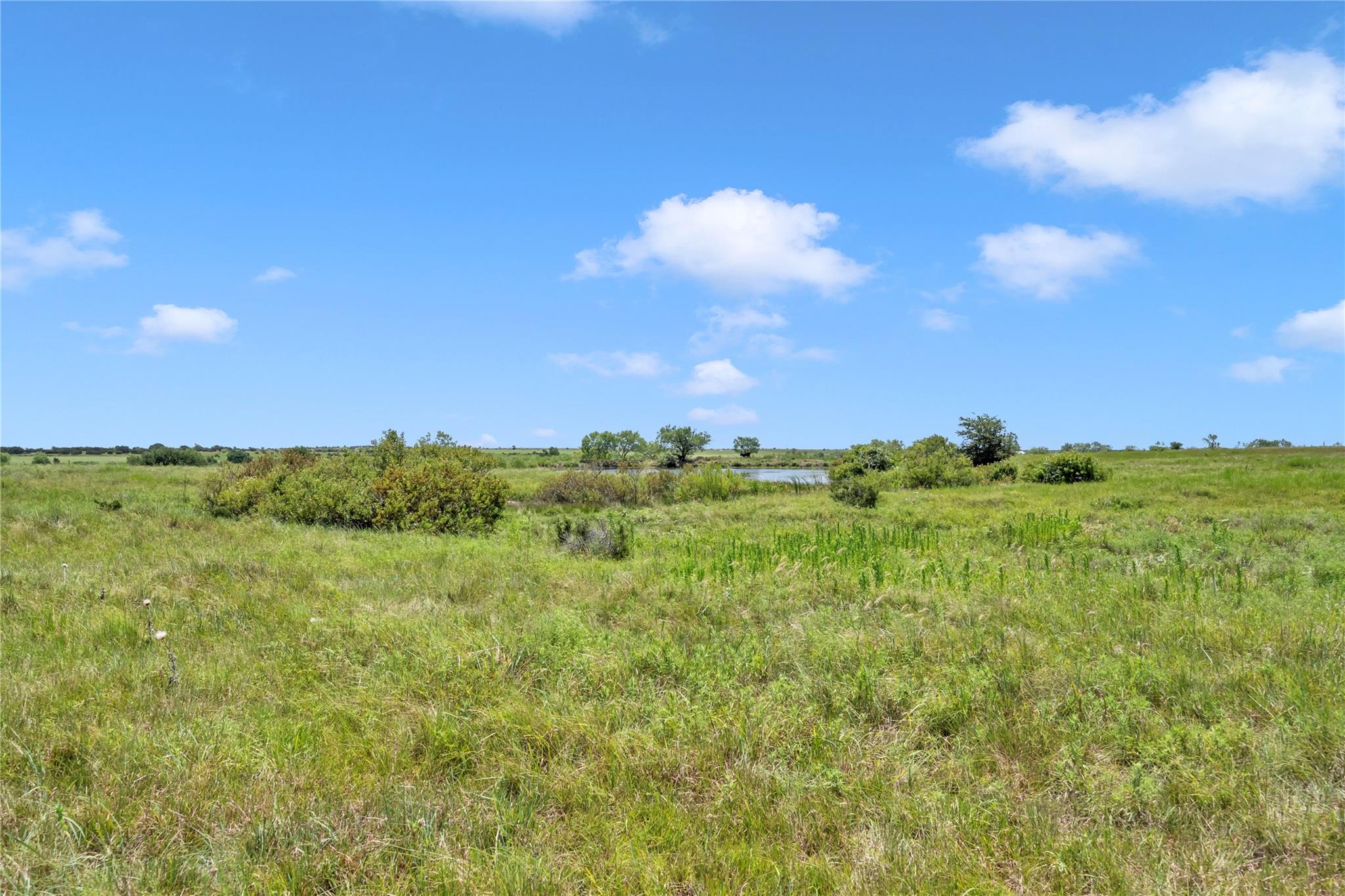 11064 County Road 210 Rd Property Photo 23