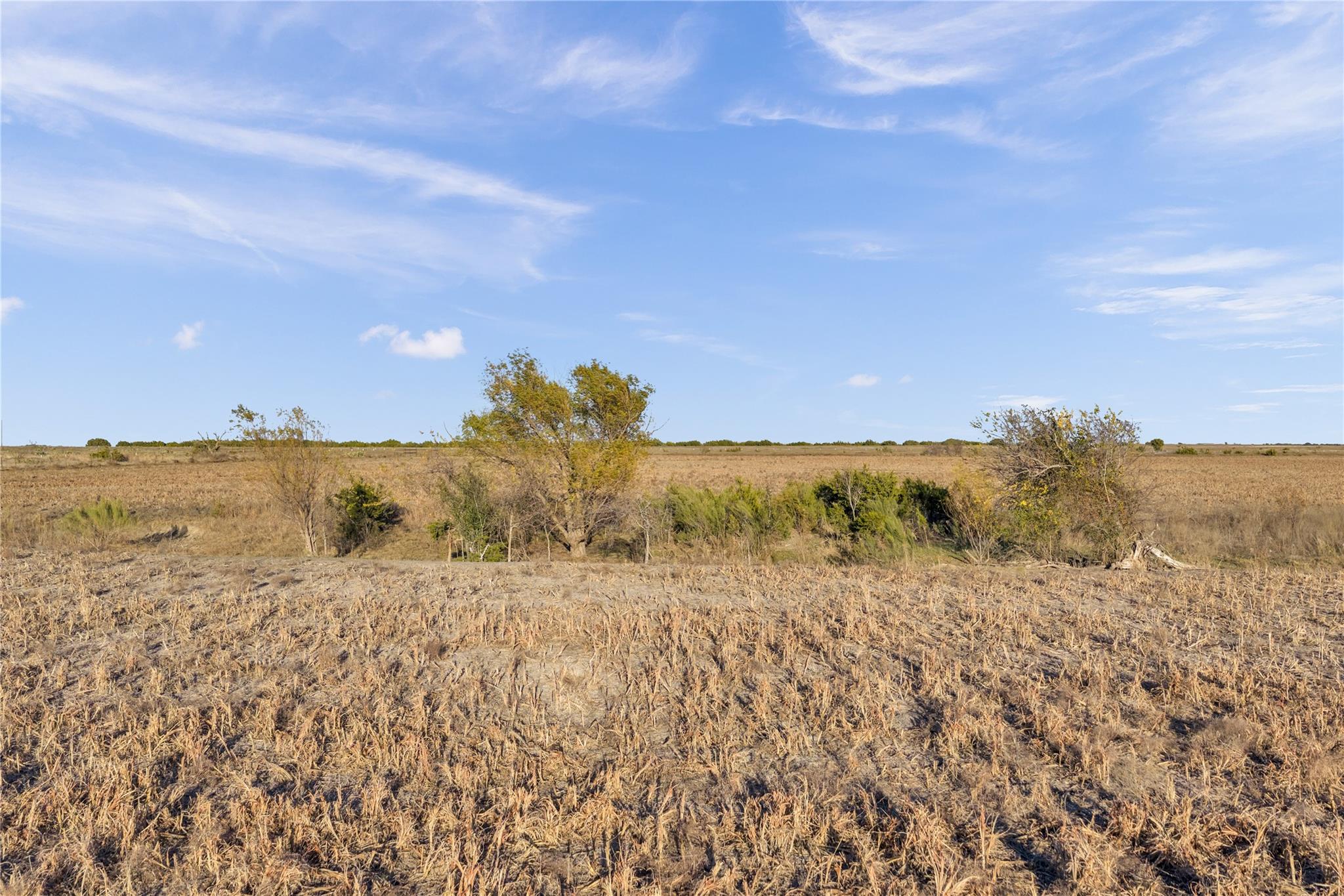 11064 County Road 210 Rd Property Photo 24